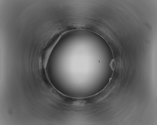 X0000113610700200909181419