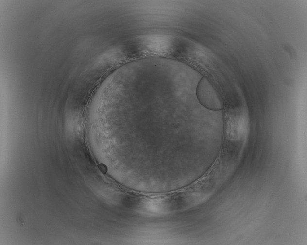 X0000113610701200909181419