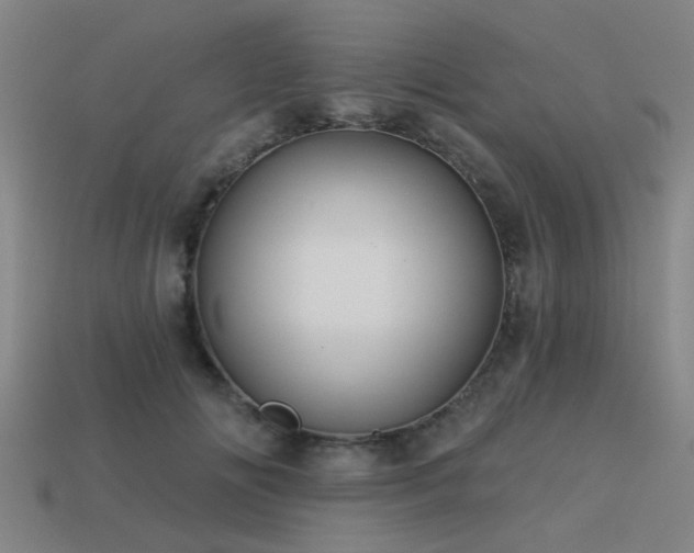 X0000113610702200909181419