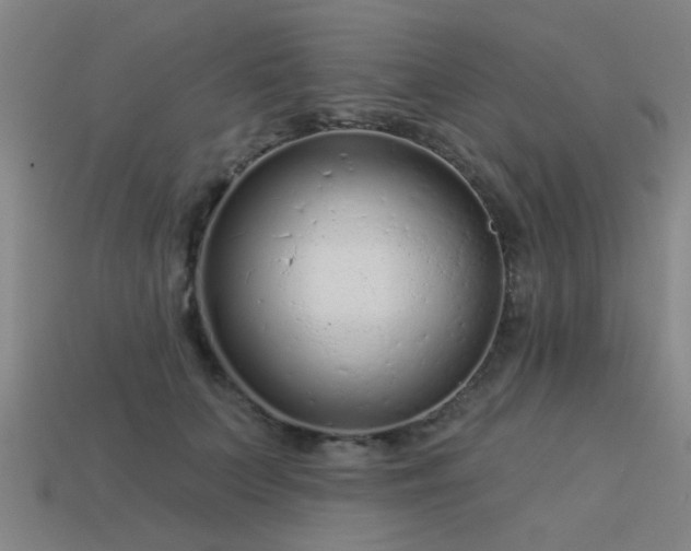 X0000113610703200909181419