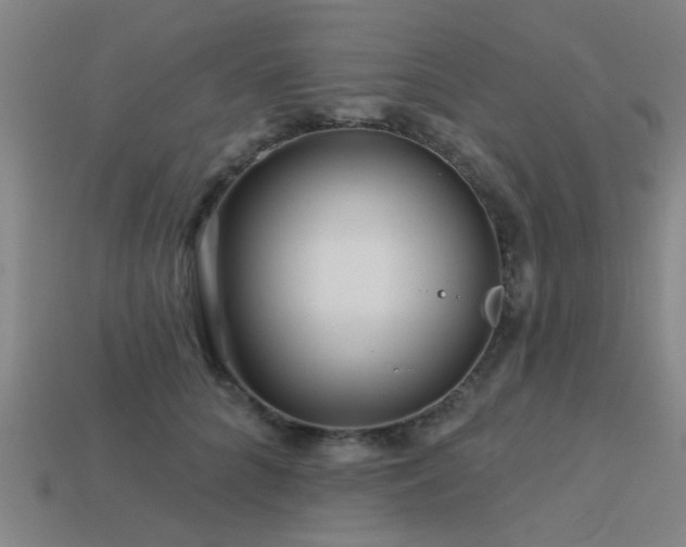 X0000113610704200909181419