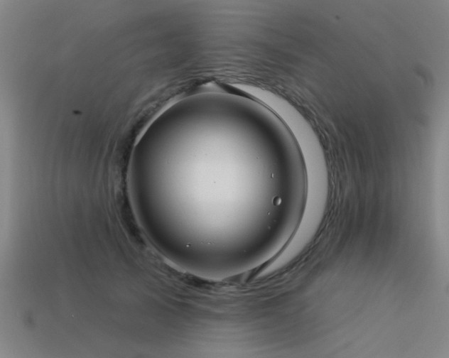 X0000113610705200909181419