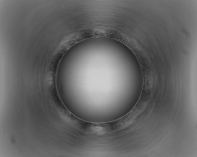 X0000113610706200909181419