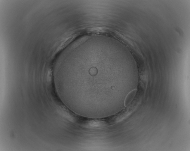 X0000113610708200909181419