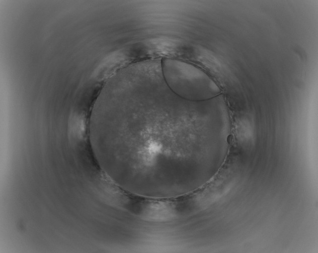 X0000113610709200909181419