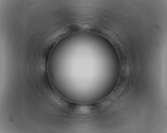 X0000113610710200909181419