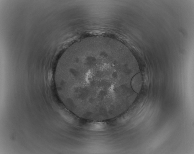 X0000113610711200909181419