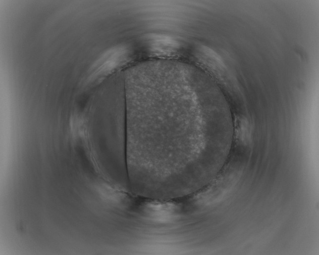 X0000113610712200909181419