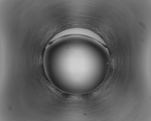 X0000113610713200909181419