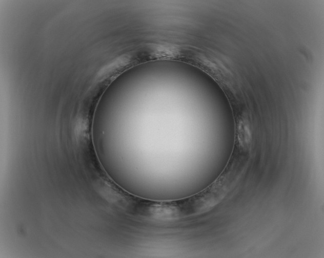 X0000113610714200909181419