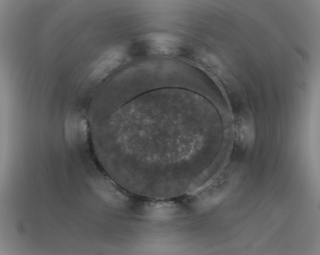 X0000113610716200909181419