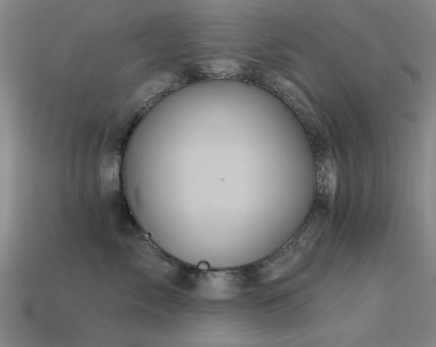 X0000113610717200909181419