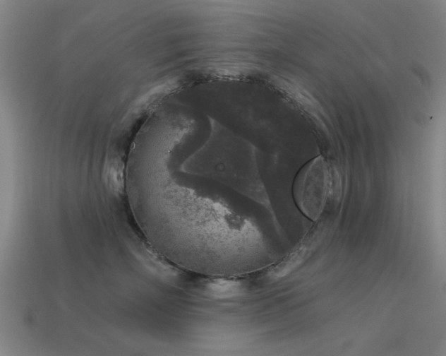 X0000113610718200909181419