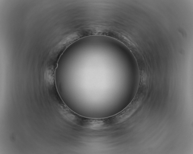 X0000113610719200909181419