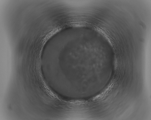 X0000113610721200909181418