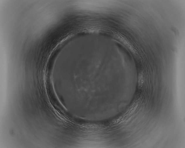 X0000113610722200909181418