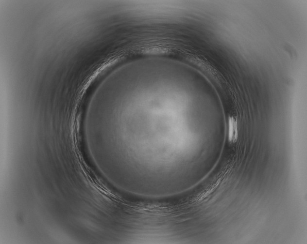 X0000113610723200909181418