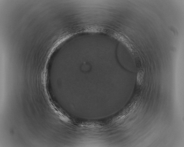 X0000113610724200909181418