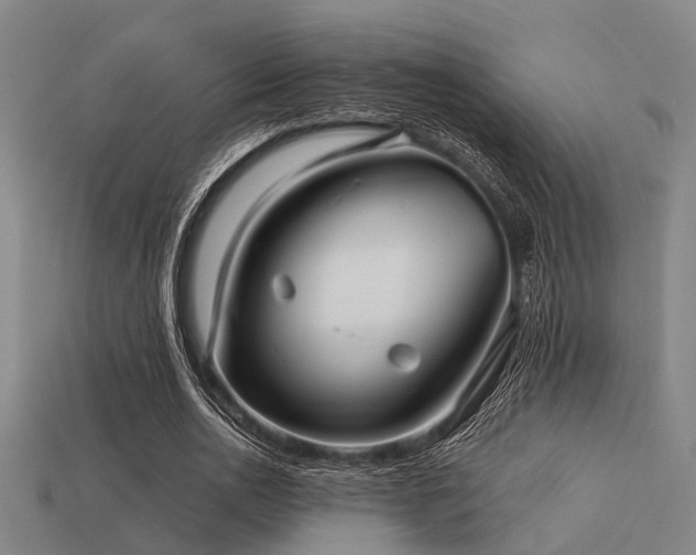 X0000113610726200909181418