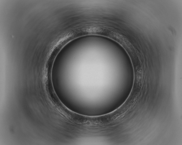 X0000113610727200909181418