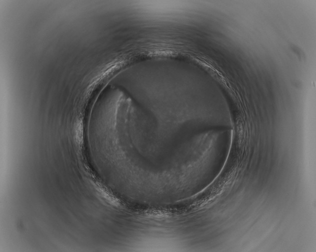 X0000113610729200909181418