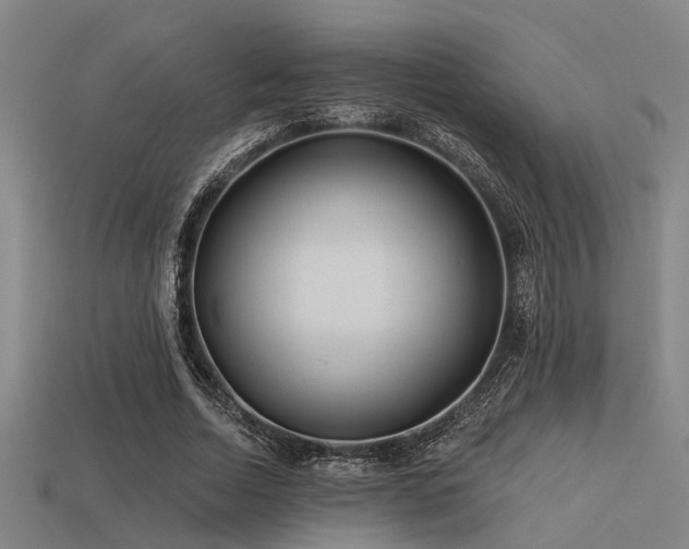 X0000113610730200909181418