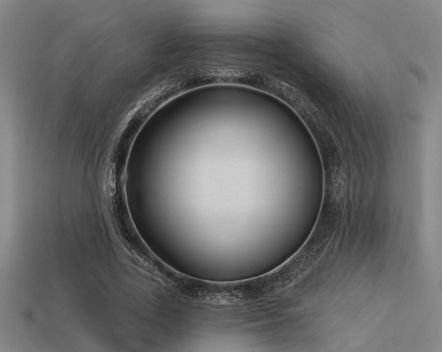 X0000113610731200909181418