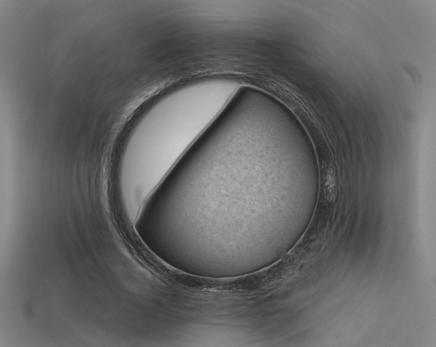 X0000113610732200909181418