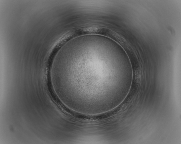 X0000113610735200909181418