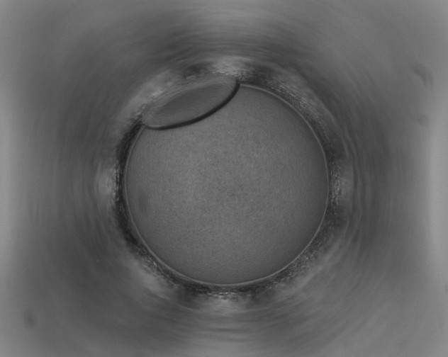 X0000113610736200909181418