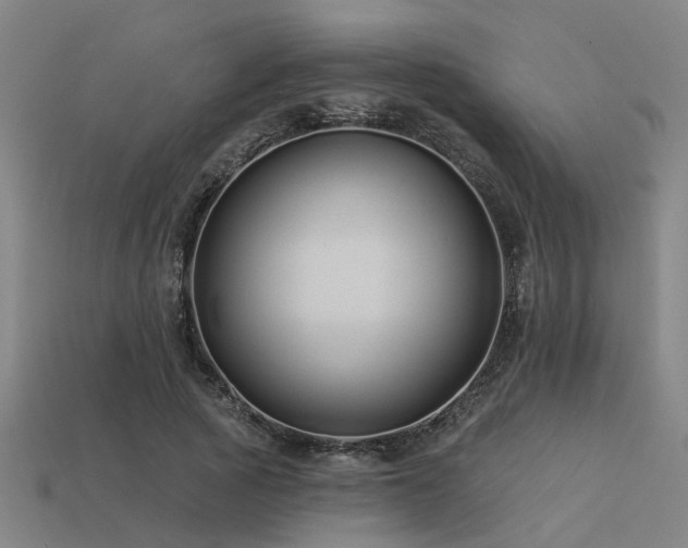 X0000113610737200909181418