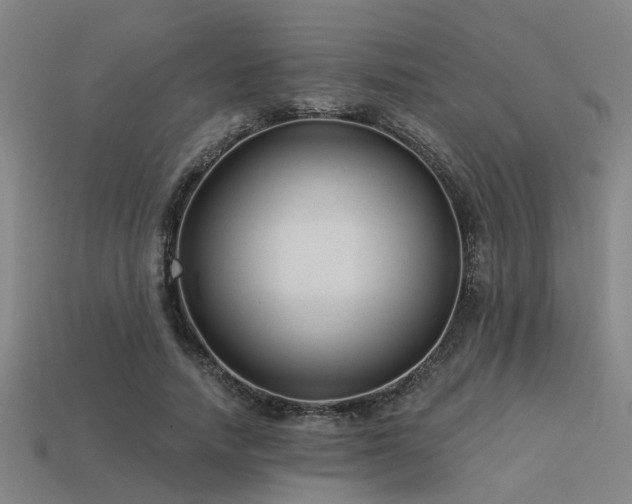 X0000113610738200909181418