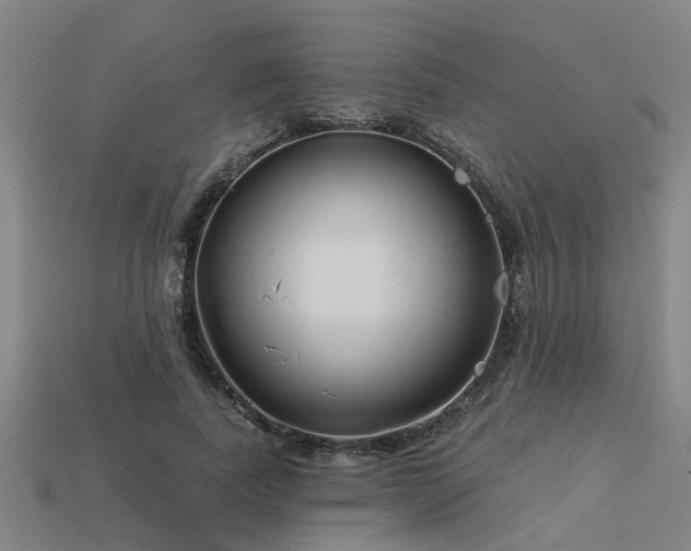 X0000113610739200909181418