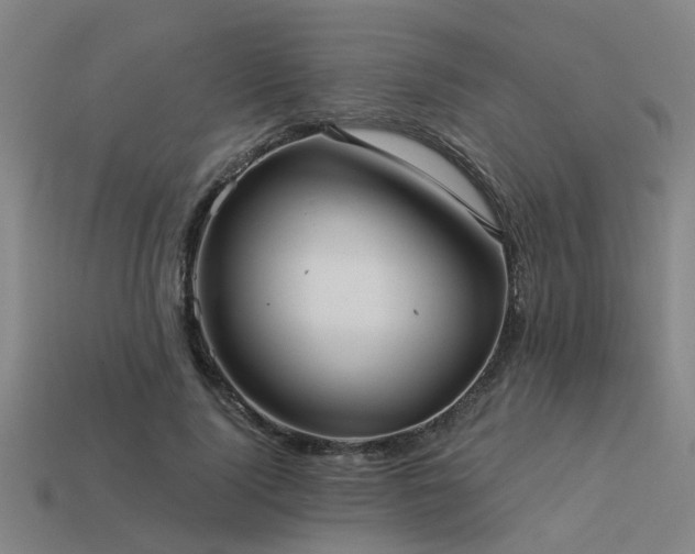 X0000113610740200909181418