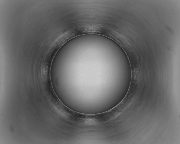 X0000113610741200909181418