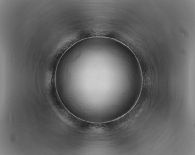 X0000113610742200909181418