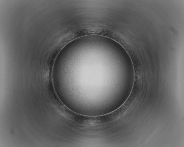 X0000113610745200909181418