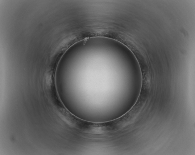 X0000113610746200909181419