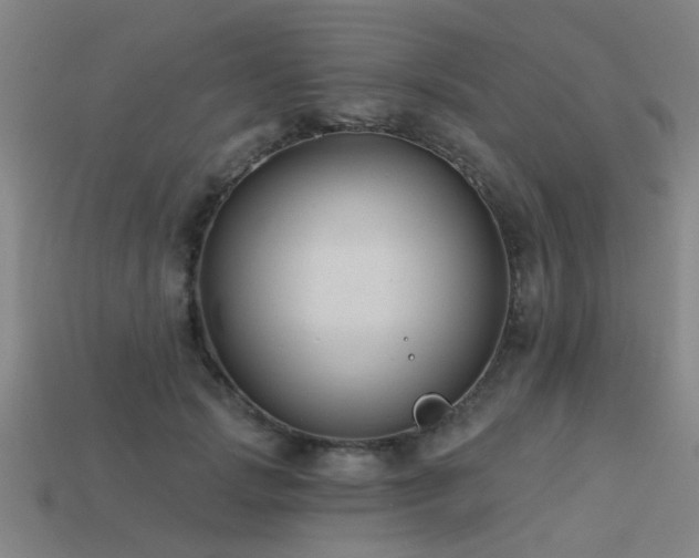 X0000113610749200909181419