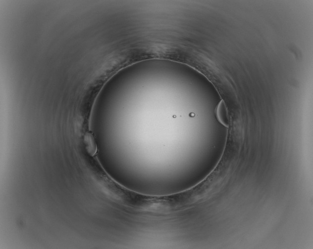 X0000113610750200909181419