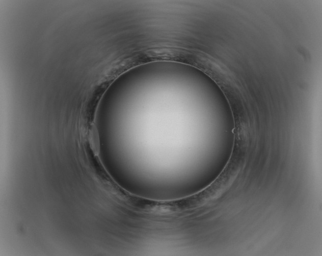 X0000113610751200909181419