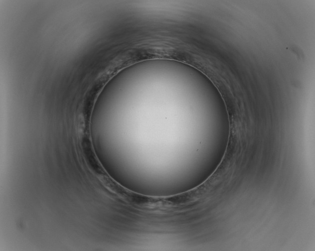 X0000113610752200909181419