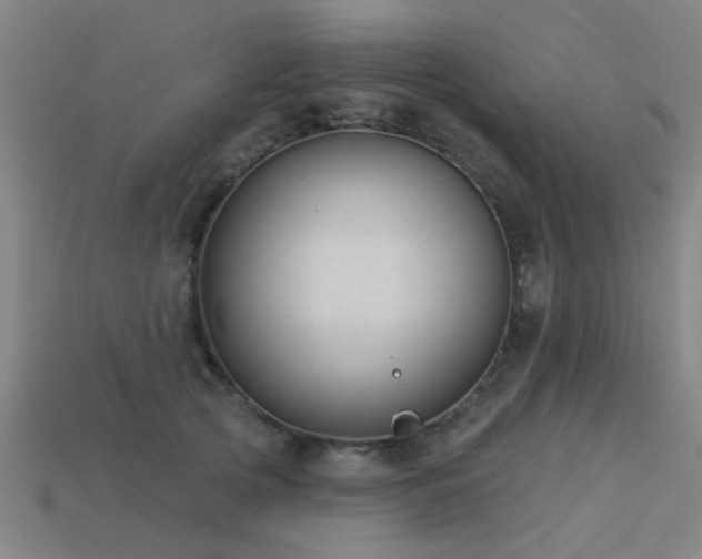 X0000113610753200909181419