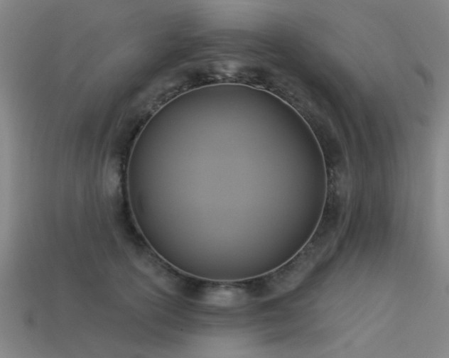 X0000113610754200909181419