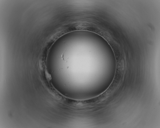 X0000113610755200909181419