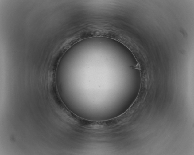 X0000113610756200909181419