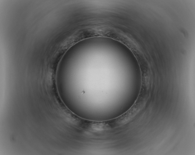 X0000113610757200909181419