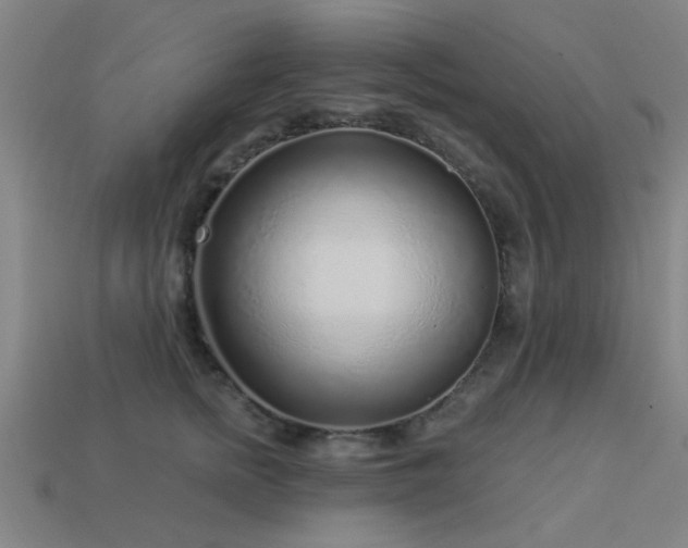 X0000113610758200909181419