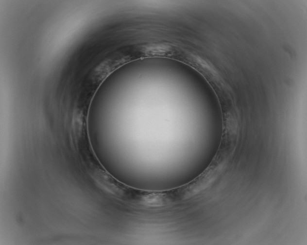 X0000113610761200909181419