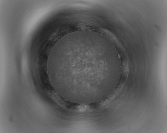 X0000113610762200909181419